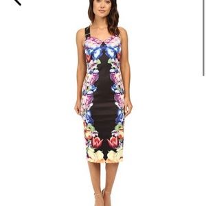 Ted Baker NWT deony buckle floral black bodycon beautiful dress.